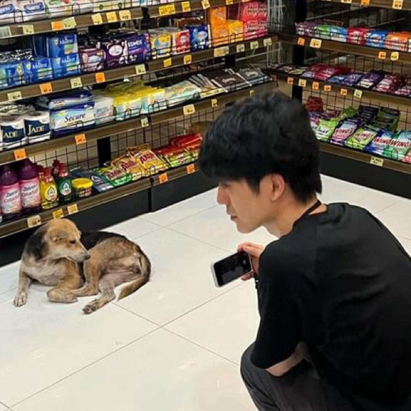 東南アジア暮らし実況中継