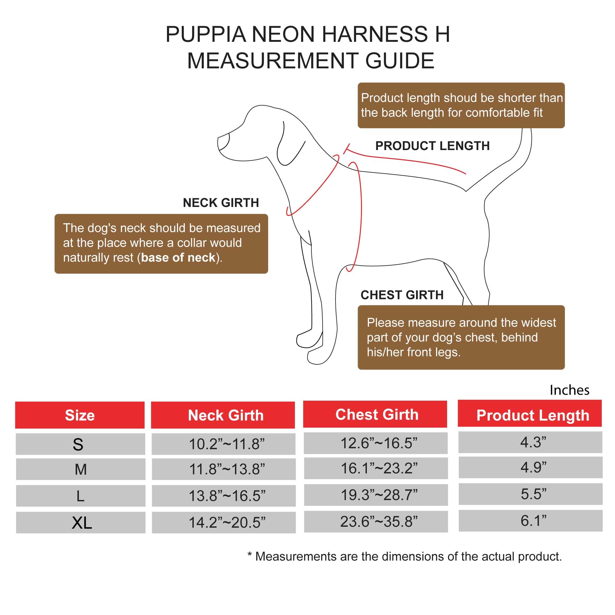 NEON HARNESS H Pettorina per cani S Verde