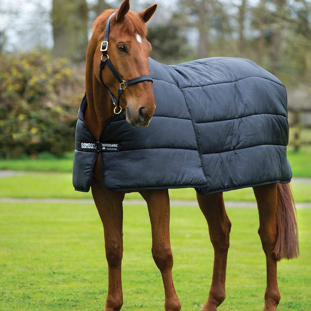 Horseware Manta de establo para Caballos Optimo 200 g