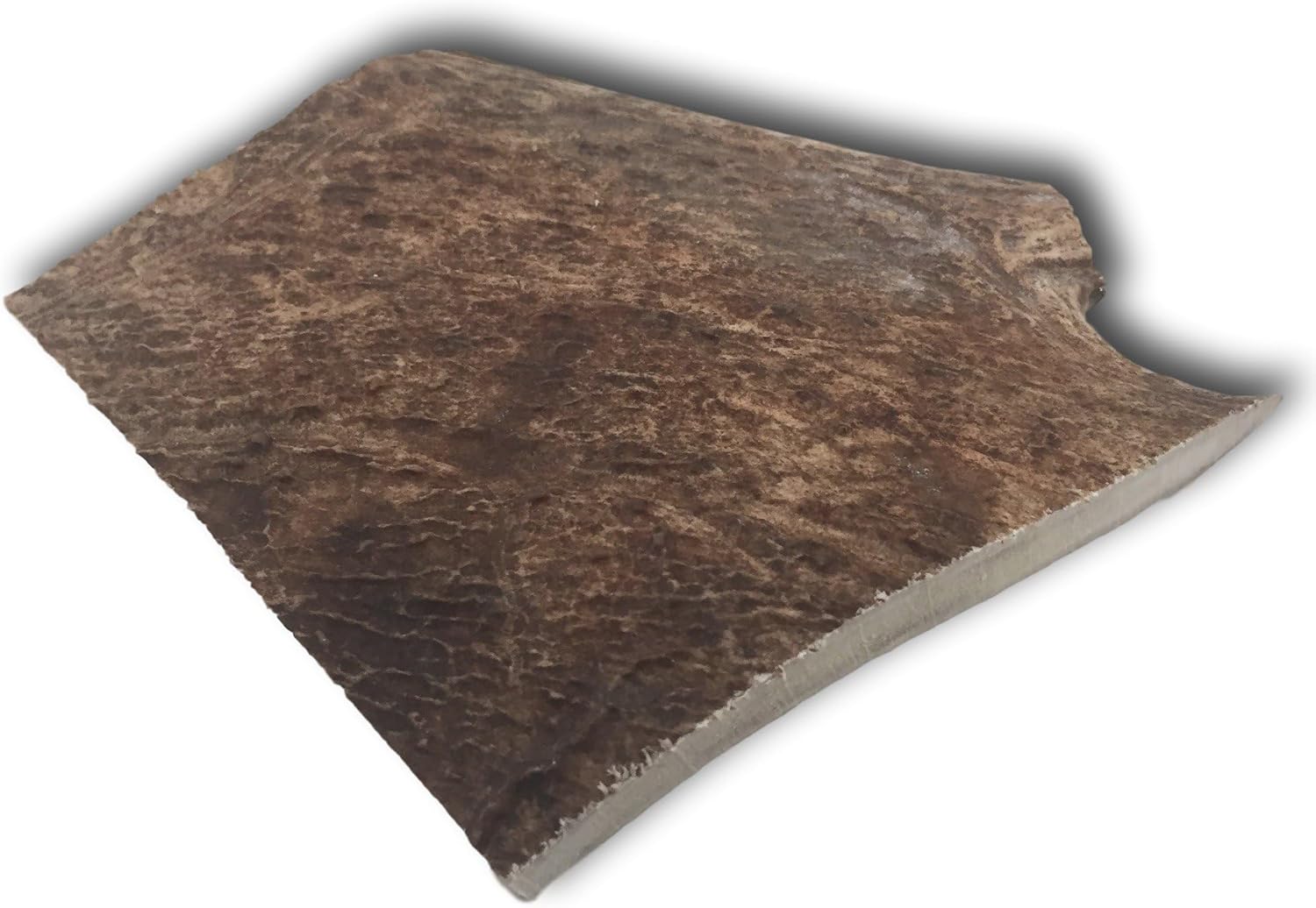 Top Dog Chews – Moose Antler, Premium, Grade A, Moose Antler for Large, Medium or Small Dogs, Natural, Long Lasting Dog Chew for Aggressive Chewers, 1 Pack