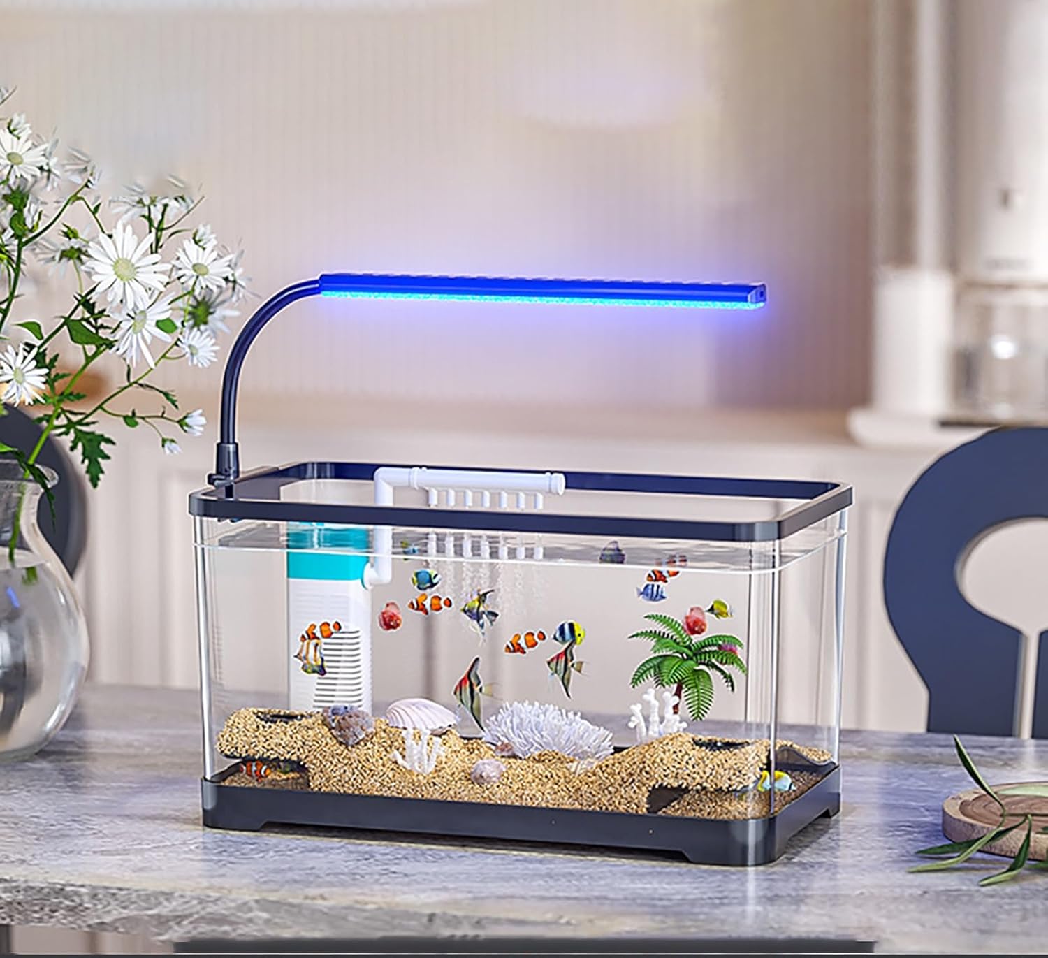 Fish Tank Starter Kit - Filter and Light,High-Transparent Glass Aquarium Decoration Set for Desktop Home Den Dorm Living Room(Black,S)