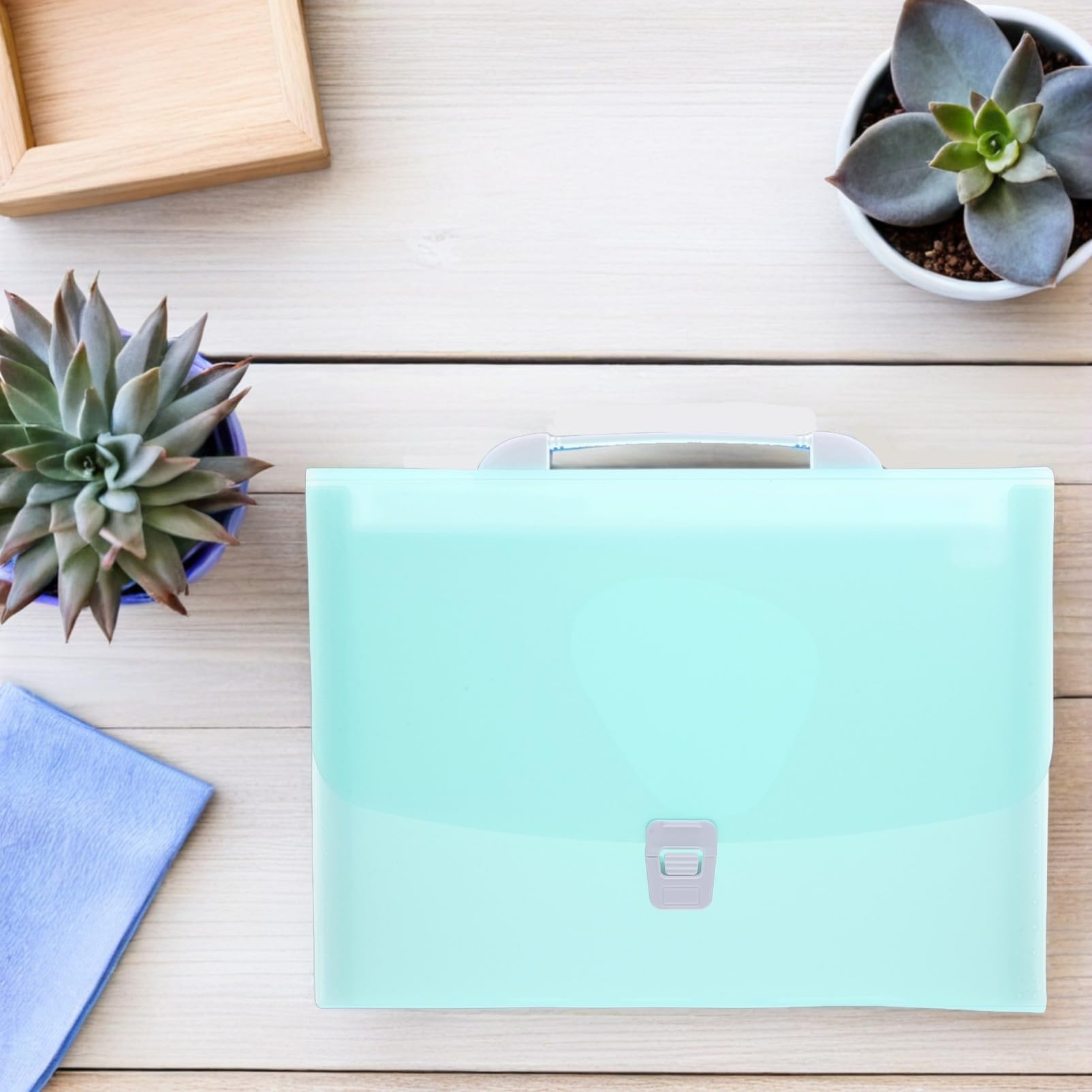 2 Pezzi Cartella Portadocumenti In Plastica Per Organi Portadocumenti Organizzatore Per Documenti Organizzatore A Fisarmonica Espandibile Borsa Blu