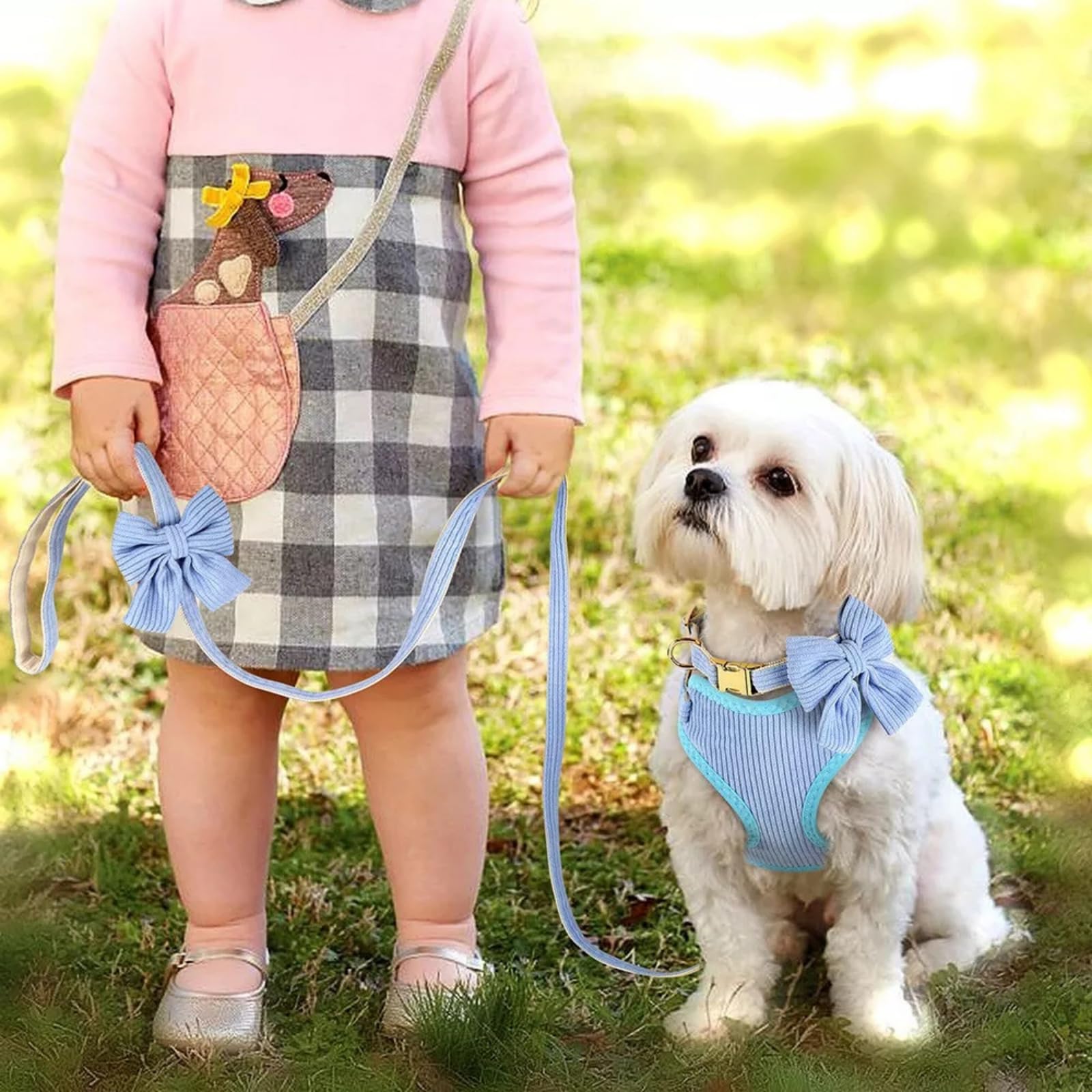 Juego de arnés y correa para perros medianos y pequeños, 3 collares y correas ajustables con pajarita, chaleco acolchado de malla suave transpirable para cachorros y perros pequeños, azul, S