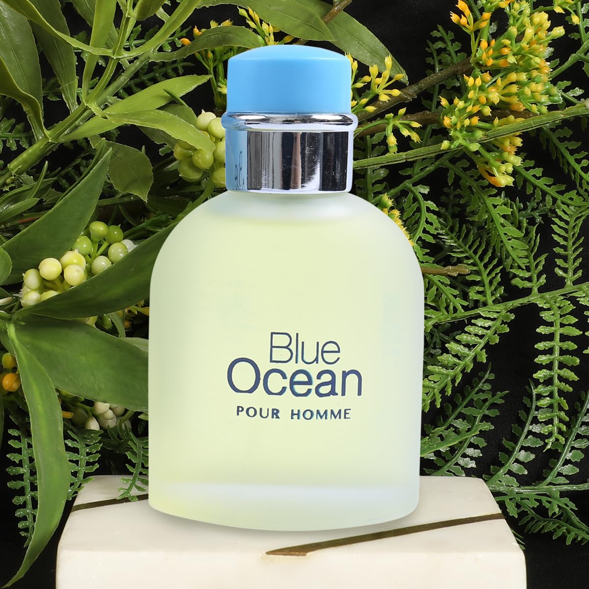 Blue Ocean Pour Homme Eau de Toilette for Men – Fresh Citrus Spicy Men’s Perfume, 100ml/3.4 Fl Oz (2, 100 ml)