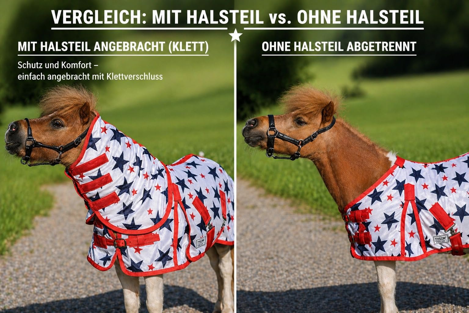 Fliegendecke Minishetty Shetty Welsh Fohlen Falabella 70 75 80 85 90 95 100 cm Sterne Mash Fliegenschutz Sterni Decke Fliegen Decke (80cm)