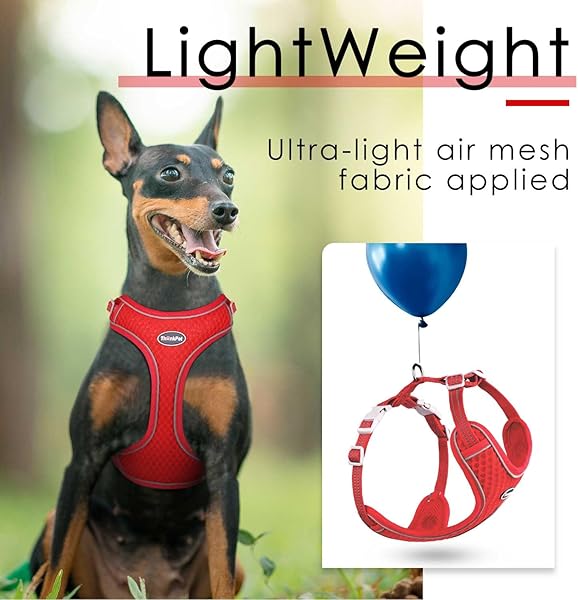 Close-up of the ThinkPet Reflective Air Mesh harness showing the full edge piping and breathable fabric texture.