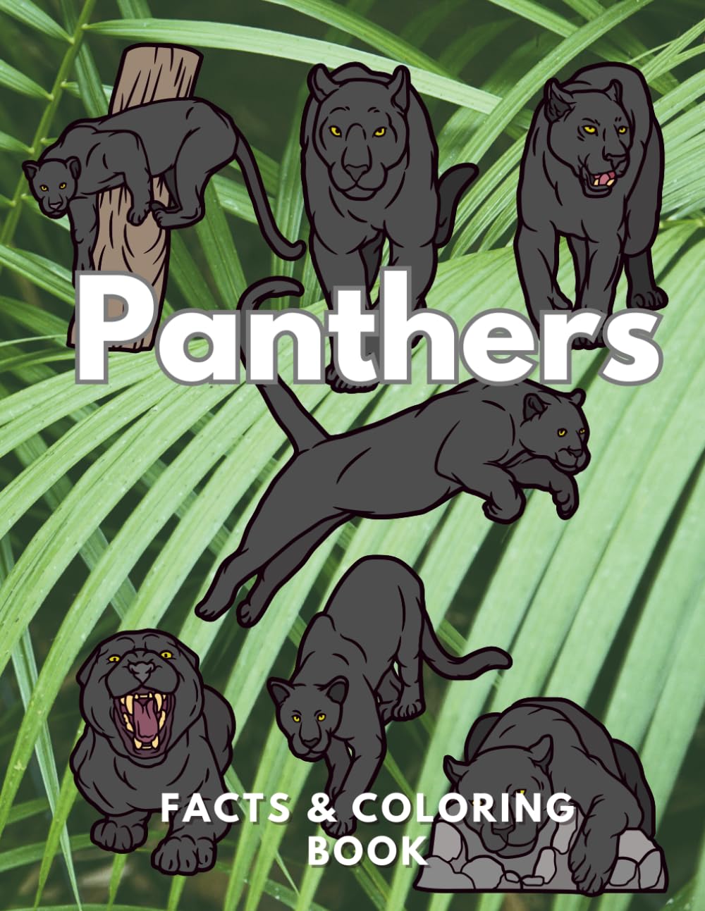 Panthers: Facts & Coloring Book: Colouring Activity Book for Children Aged 2 to 12 Years (Animal Facts and Coloring)