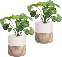Vista 11 de Flexzion Cesta para plantas de interior – Cesta decorativa tejida de cuerda de algodón de 11 x 11 pulgadas, cesta redonda de almacenamiento con asas