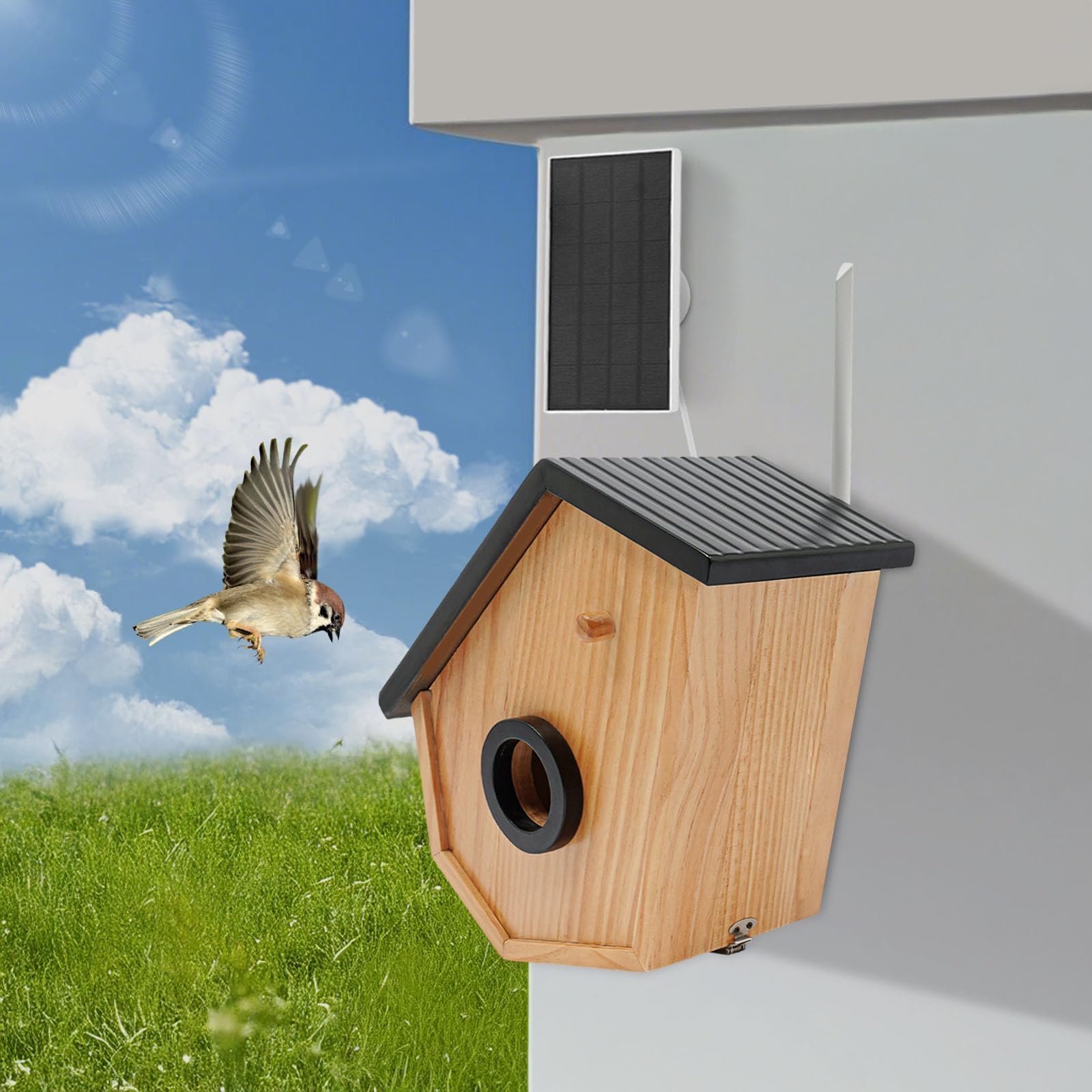 Casetta per uccelli con fotocamera e pannello solare, nidificatore con rilevamento di uccelli KI, IP65 resistente alle intemperie, visione notturna HD, batteria da 4400 mAh, per giardino, balcone
