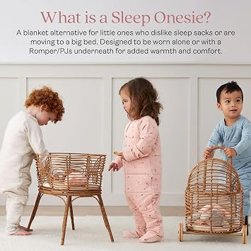 ergoPouch Sleep Onesie 2.5 TOG Warm Baby Romper & Sleep Layer with Full-Zip, Guarding Against Blankets, Breathable & Movement-Friendly, Ideal for Transitional Sleeping (12-24 Months, Daisies)