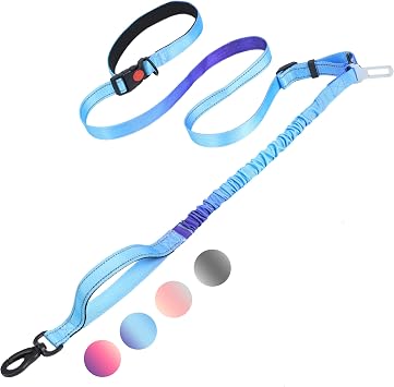 Hands Free Dog Leash 4.7-6.5FT, Reflective Shock Absorbing Bungee Dog Leash & Car Seat Belt, Durable for Medium Large Dogs Walking Running Blue