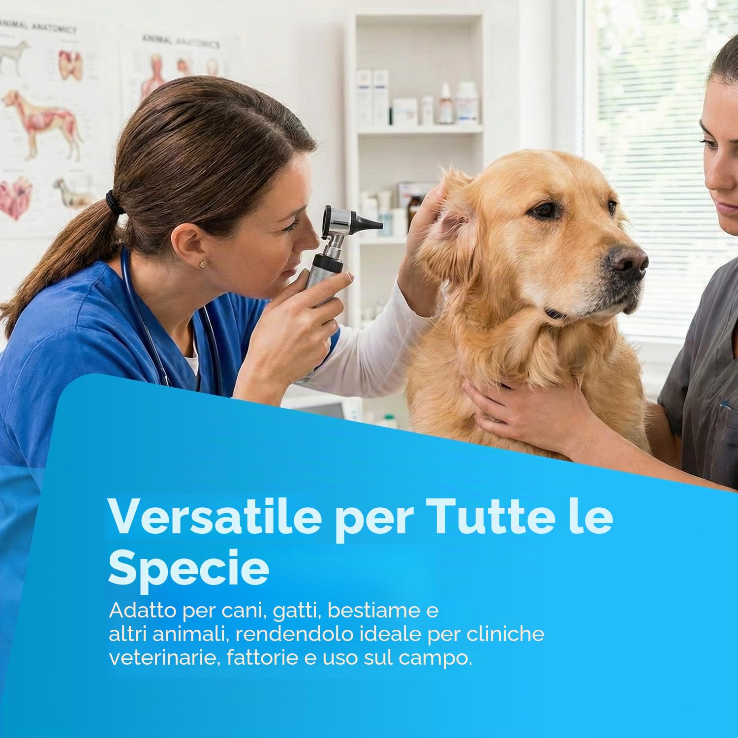 YNR Vet Examine - Otoscopio veterinario per diagnostica veterinaria, kit completo di otoscopio, custodia portatile, esame per cani, gatti, bestiame e tutte le specie animali