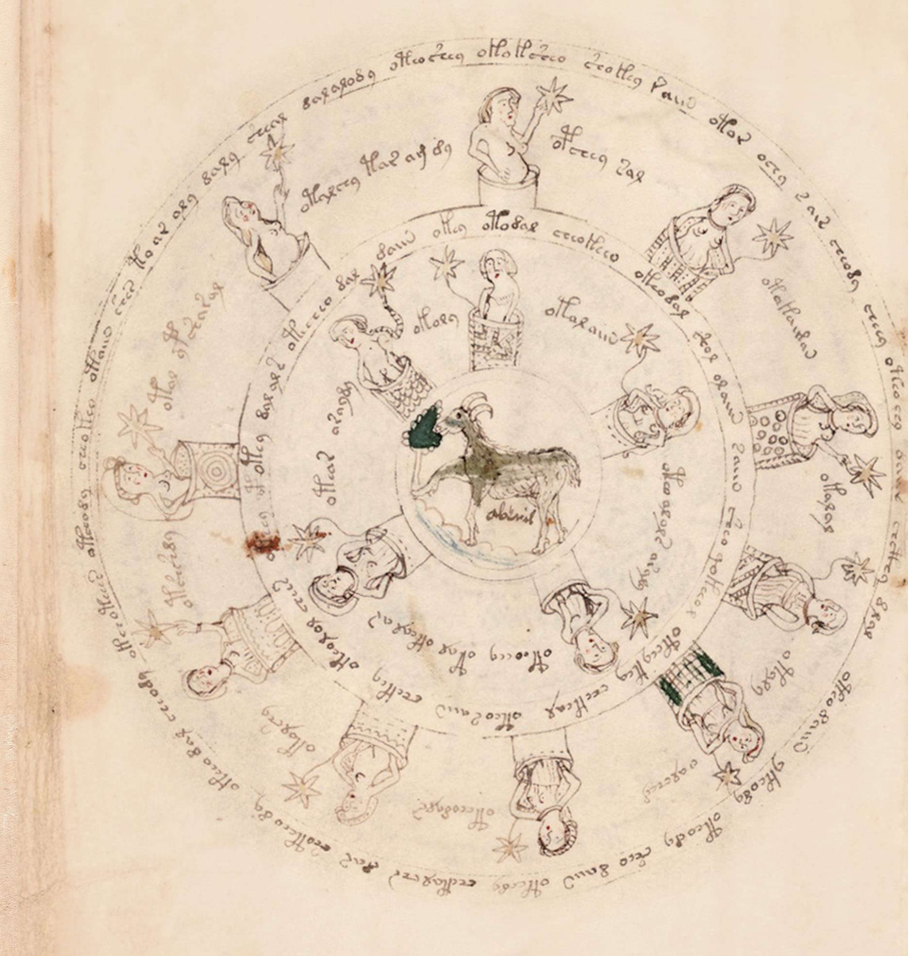 Das Voynich Manuskript: Gesamtdarstellung aller Tafeln der geheimnisvollen illuminierten Handschrift