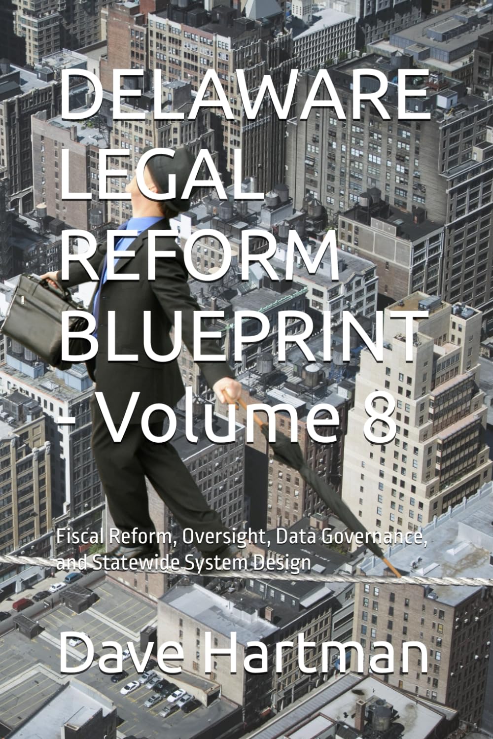 DELAWARE LEGAL REFORM BLUEPRINT - Volume 8: Fiscal Reform, Oversight, Data Governance, and Statewide System Design: 10 (Delaware Legal Reform Series)
