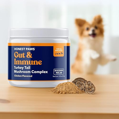 Miniatura 9 de Honest Paws Hongo de cola de pavo para perros, apoyo digestivo e inmunológico, Shiitake, Reishi, suplemento de hongos Maitake en polvo para perros