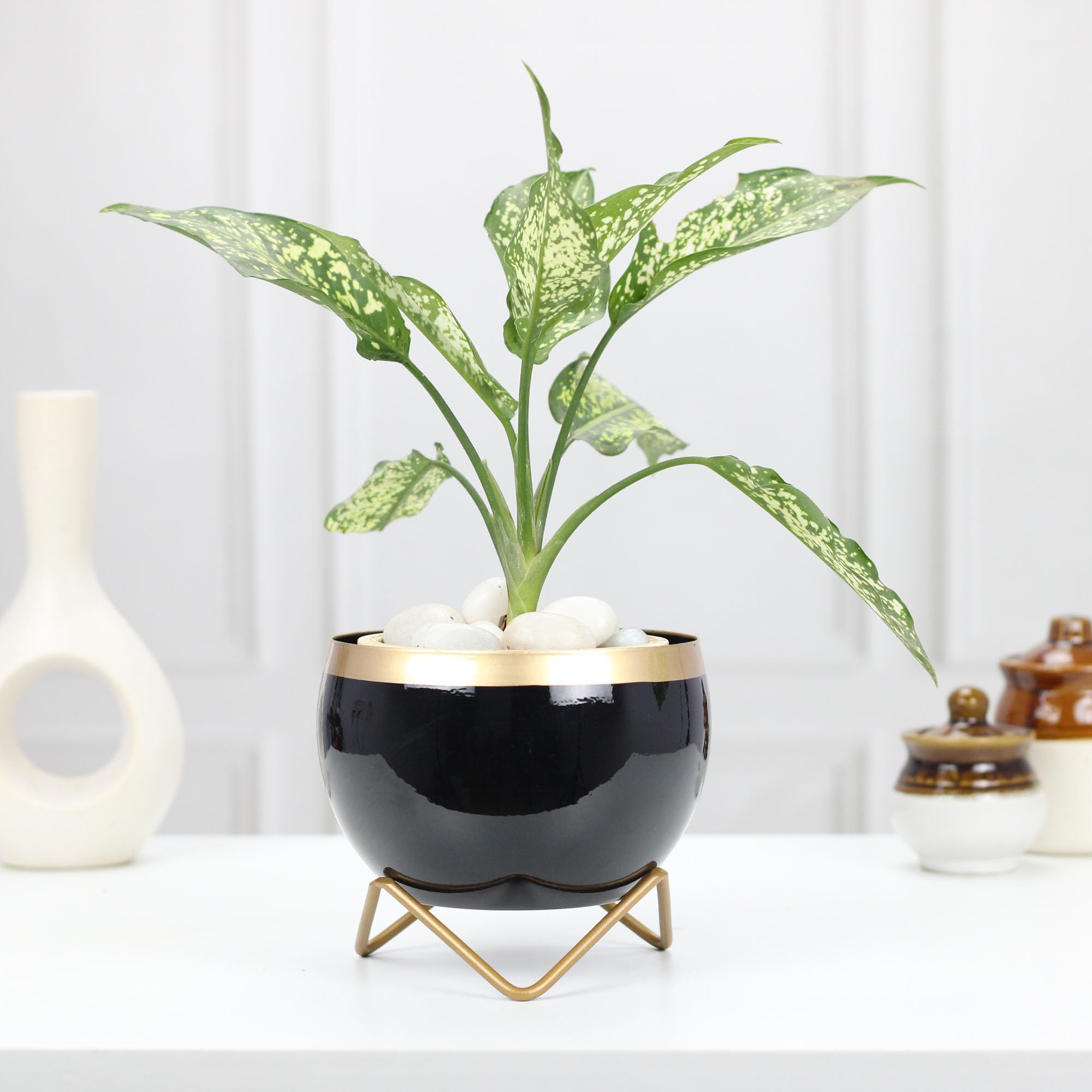Urban Plant Petite Tabletop Pots (Black Gold) Indoor Plant Planters, Decorative Flower Containers for Home, Office, and Table Decor - Perfect for Succulents, Cacti & Indoor Plants