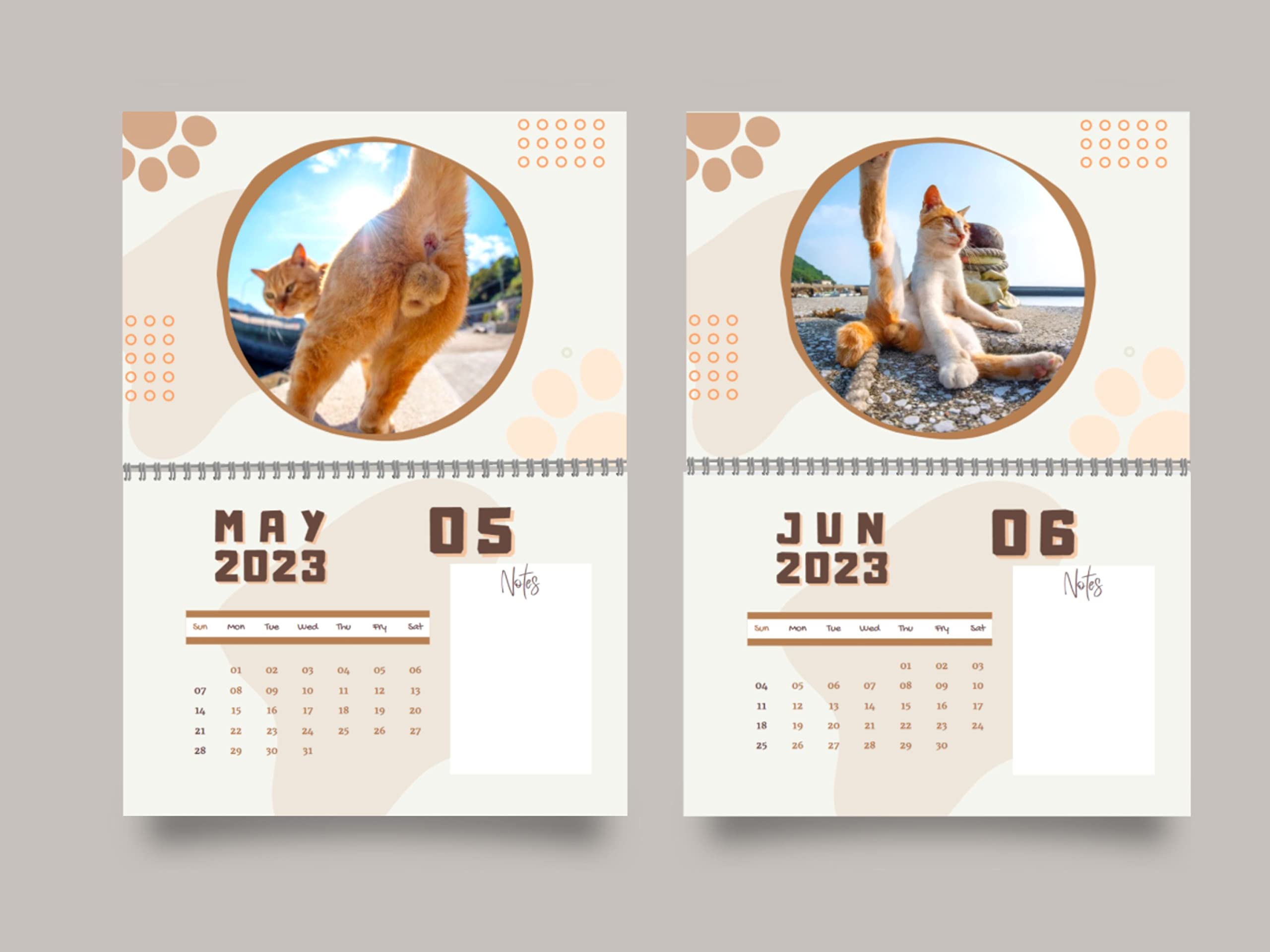 amazon-com-cat-butthole-calendar-2023-17-x-11-inches-funny-12-month-balls-with-room-for-notes-sturdy-glossy-pages-on-metal-ring-whimsical-and-fun-pictures-grey-white-light-pink-office-products