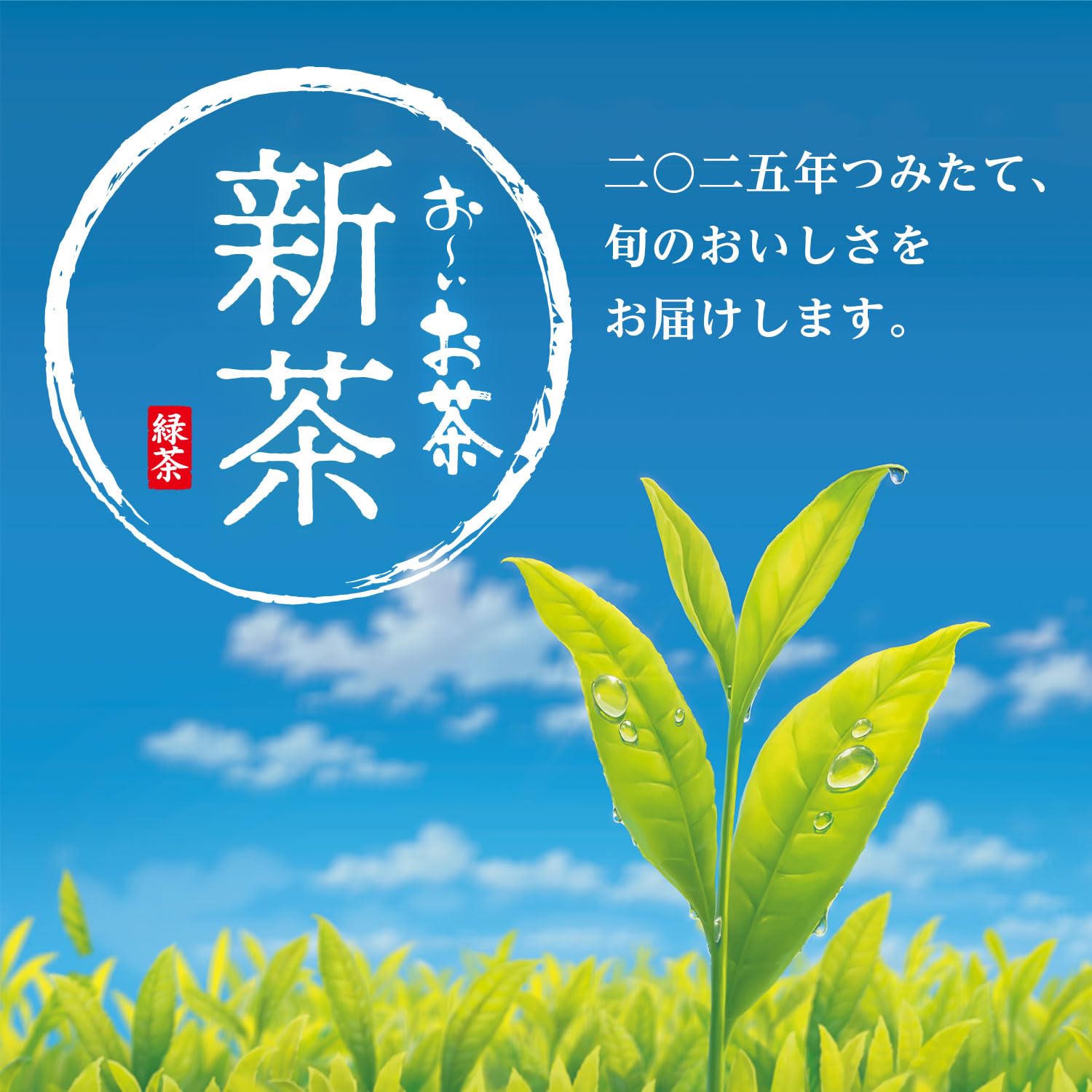 Amazon.co.jp: 伊藤園 おーいお茶 新茶 600ml×24本 2025年 ペット