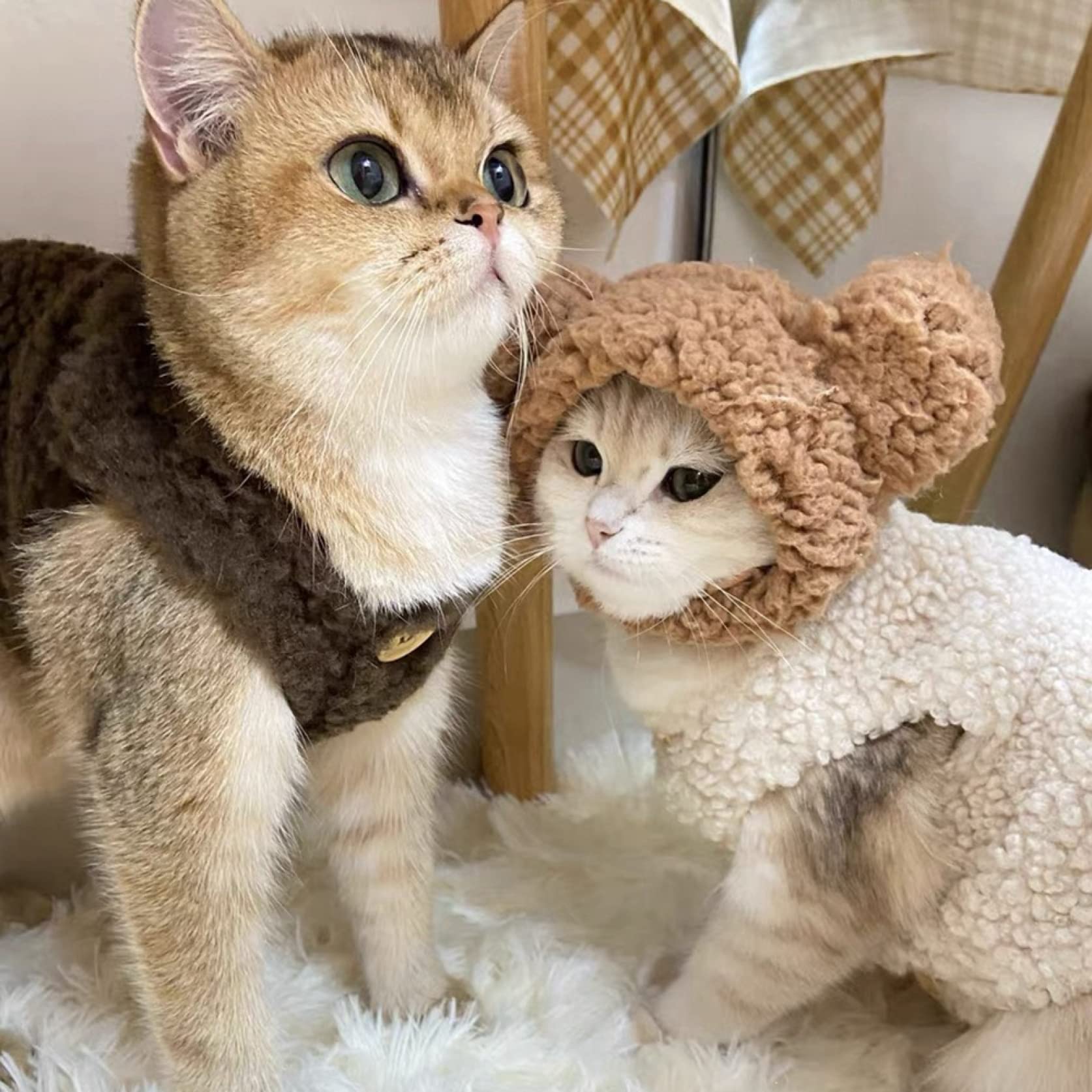 Amazon | 猫服 犬服 秋冬 可愛い ペット服 小型犬 秋冬服 子猫 前開け