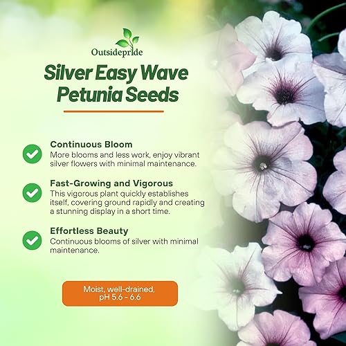 Miniatura 3 de Outsidepride Silver Easy Wave - Semillas de petunia  15 piezas de semillas de flores anuales, compactas y extendidas para plantar flores vibrantes