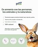 Ver la foto 7