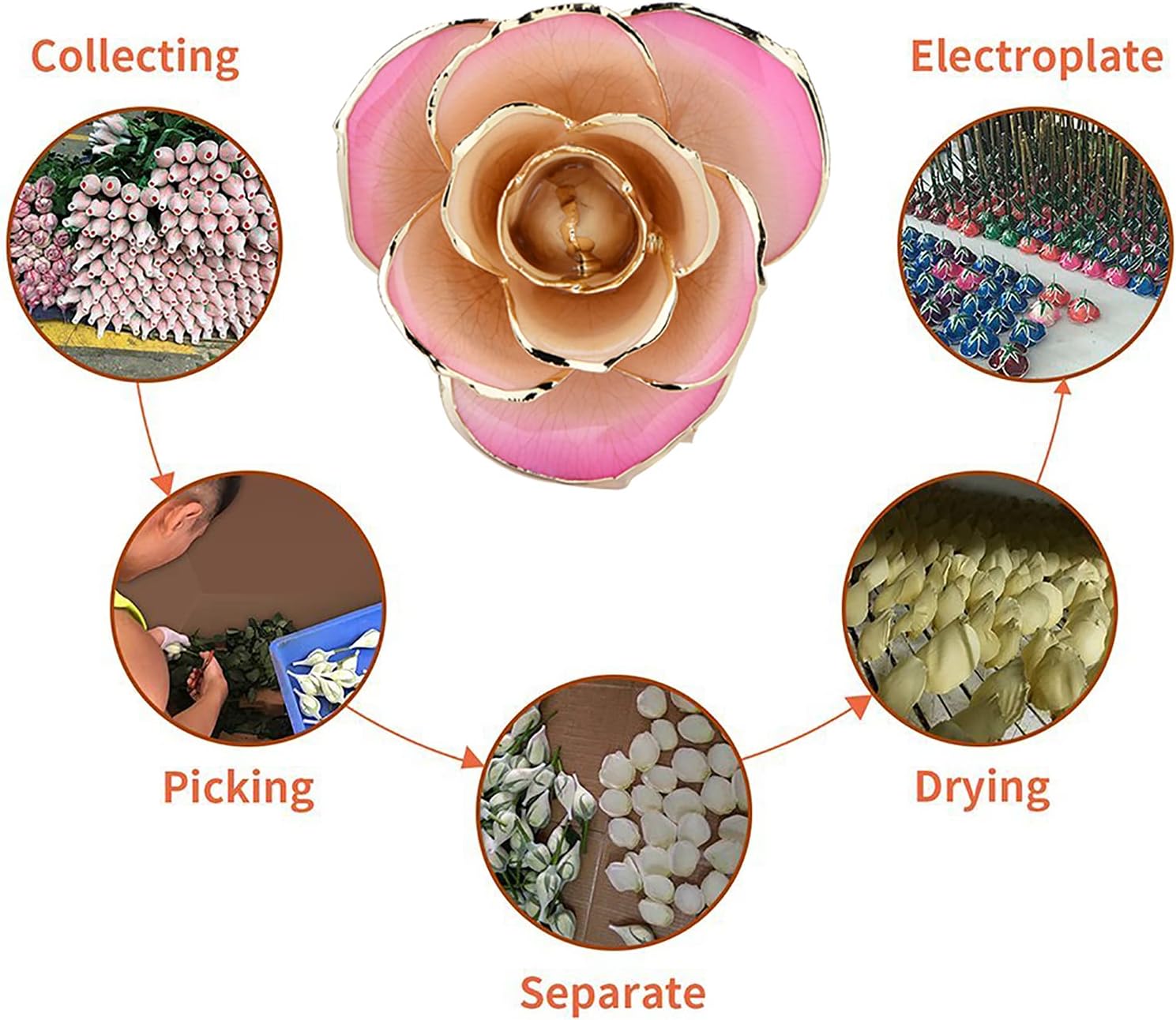 ZJchao White 24K Gold Rose, Permanent Stem Gold Dipped Romantic Rose Female Girlfriend Wife Spouse and Mother for Christmas Anniversary and Valentine Day