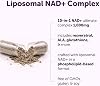Micro Ingredients Complejo Liposomal NAD+ 1,000 mg por Porción, 60 Cápsulas | 10 en 1 con Resveratrol, Glutatión, ALA y Astaxantina. Alternativa al Suplemento NMN para Mujeres y Hombres. Vegetariano, No GMO. Cápsula 60 Unidades (Paquete de 1) 5