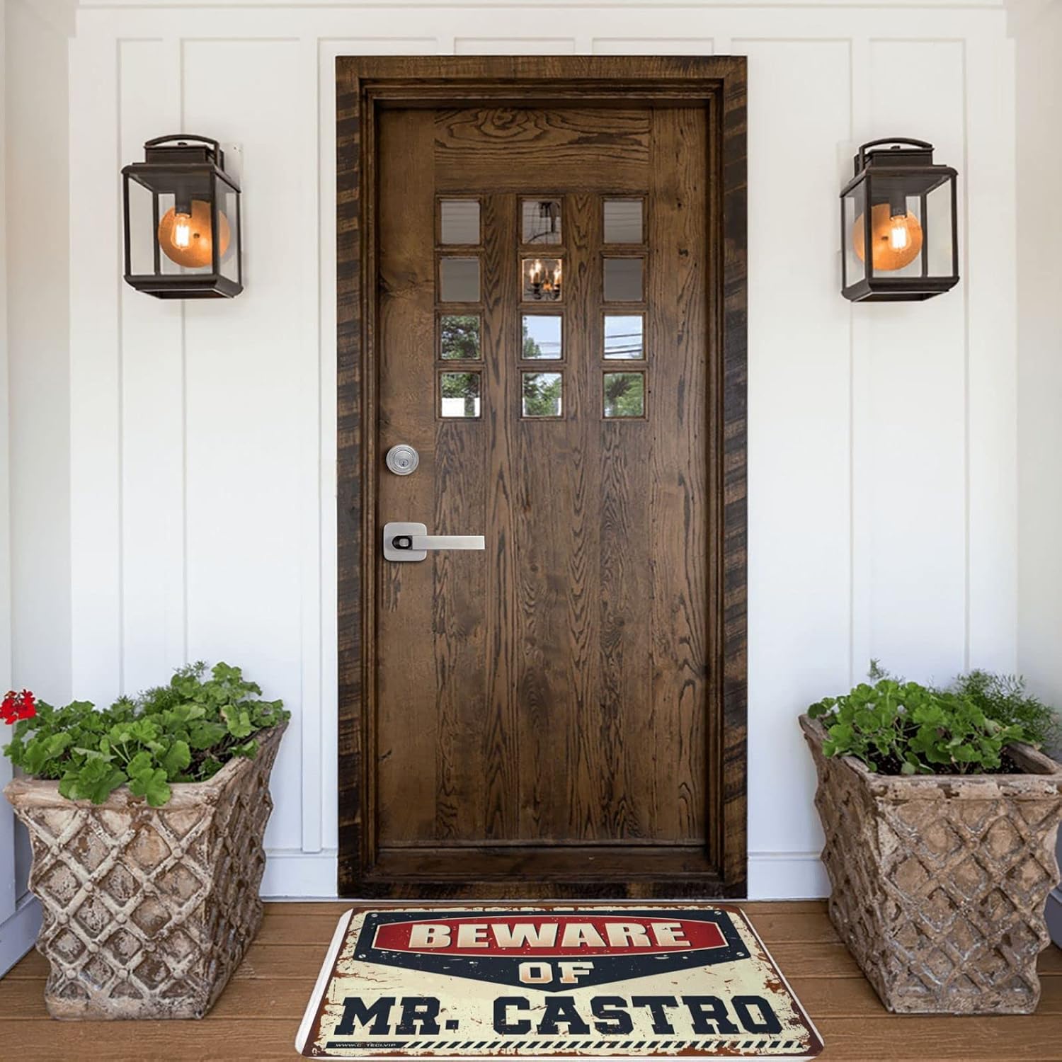 Doormats for Outdoor Entrance Home Funny Beware of Mr. Castro Doormat Outdoor Bar Accessories Decor Spring Porch Decor(65X90CM)
