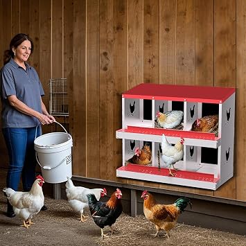 Nesting Boxes 6 Compartment Metal Chicken Nest for Chicken Coop,Nesting Boxes for Chicken, Indoor & Outdoor Use,Easy Egg Collection, Easy Cleaning