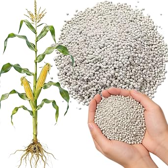 20-20-20 All Purpose Fertilizer, Indoor Plant Fertilizer, Plant Food for Houseplants, Boost Stem & Leaf Growth, Improves Root Health, Promote Large Flower Blooming & Fruit Growth1LB