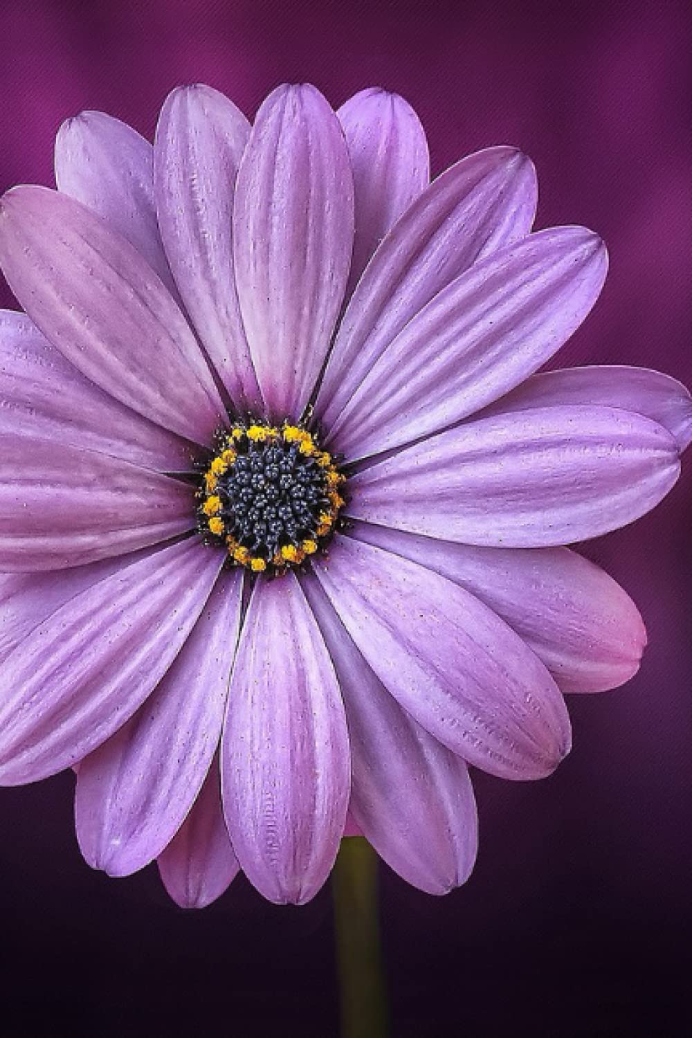 Purple Flower Journal