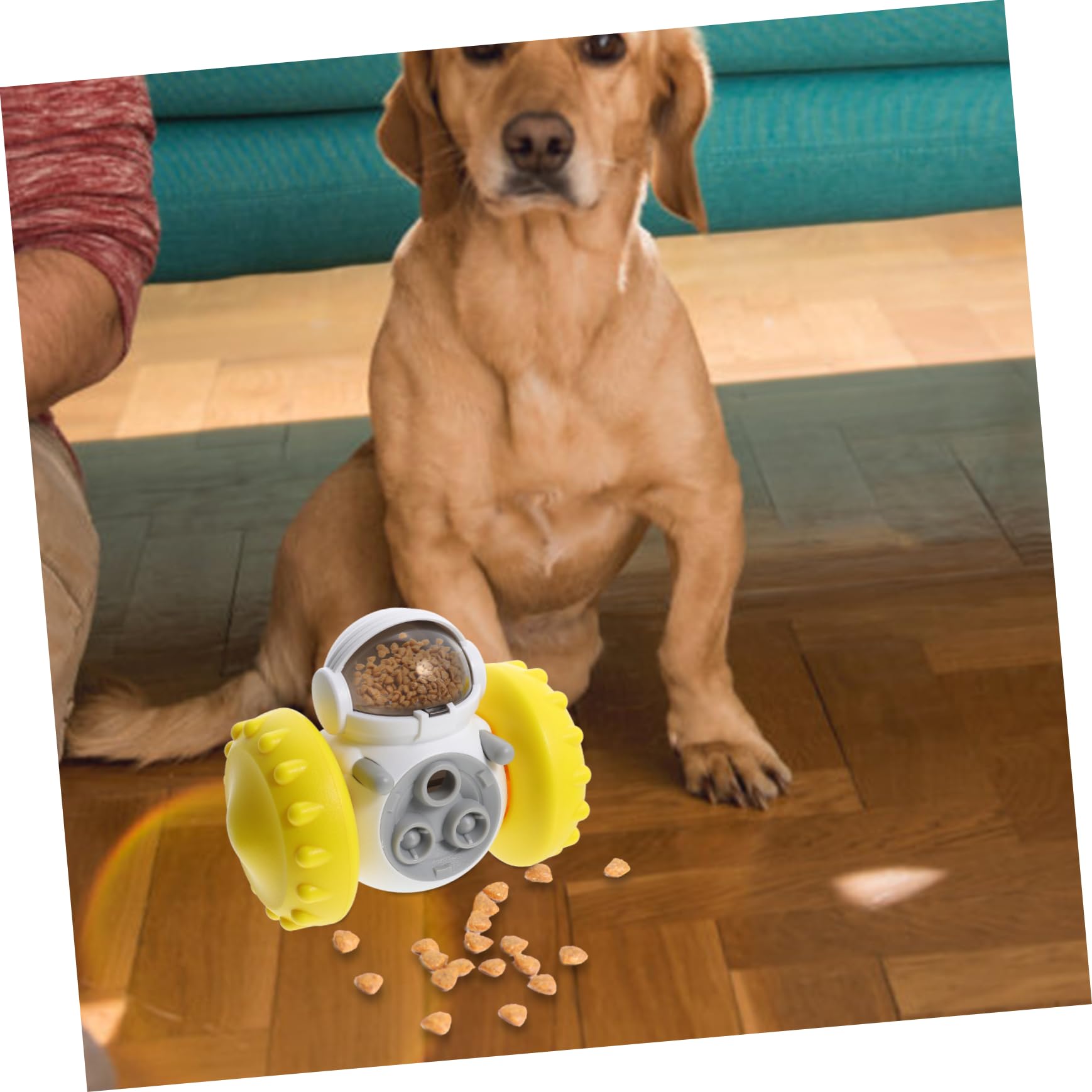 TOGEVAL Distributeur Automatique De Croquettes Pour Chat Et Chien – Pratique, Facile à Nettoyer Et Idéal Pour Les Absences Courtes
