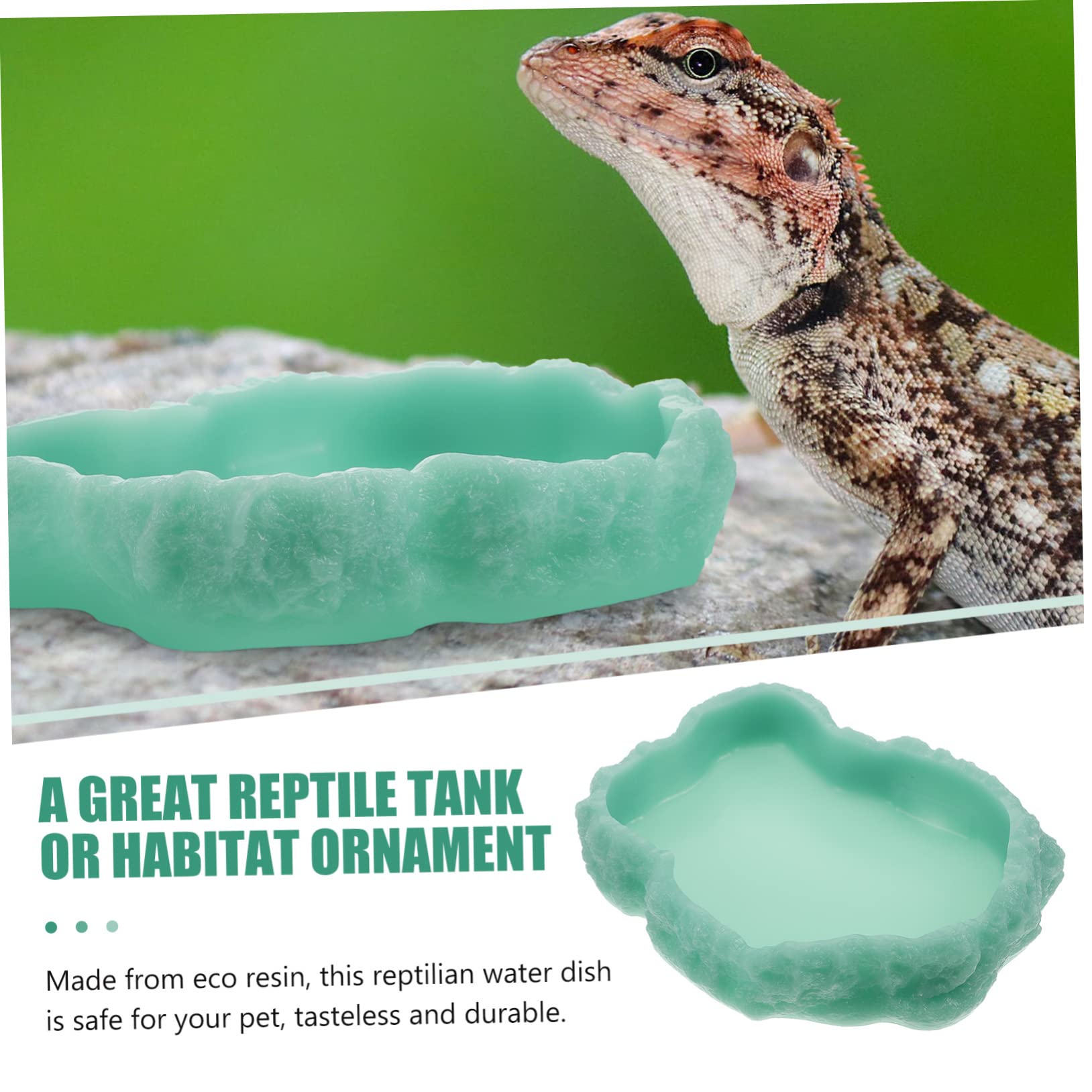 Ciotola Notturna Luminescente per Rettili Alimentatore per Cibo per Terrario per Tartarughe Gechi e Altri Animali Domestici