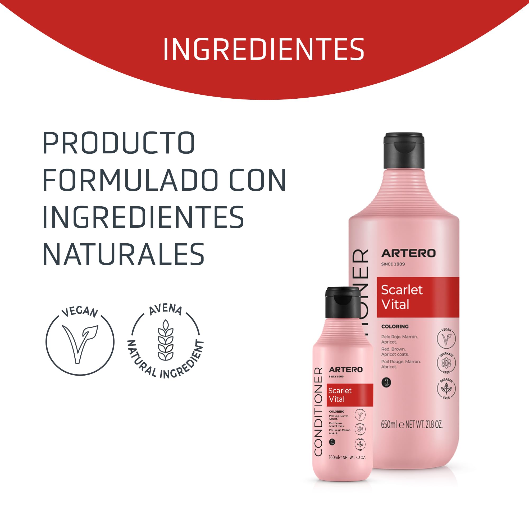 Pack Caniche Rojo. Champú 650 ml y Mascarilla 650 ml