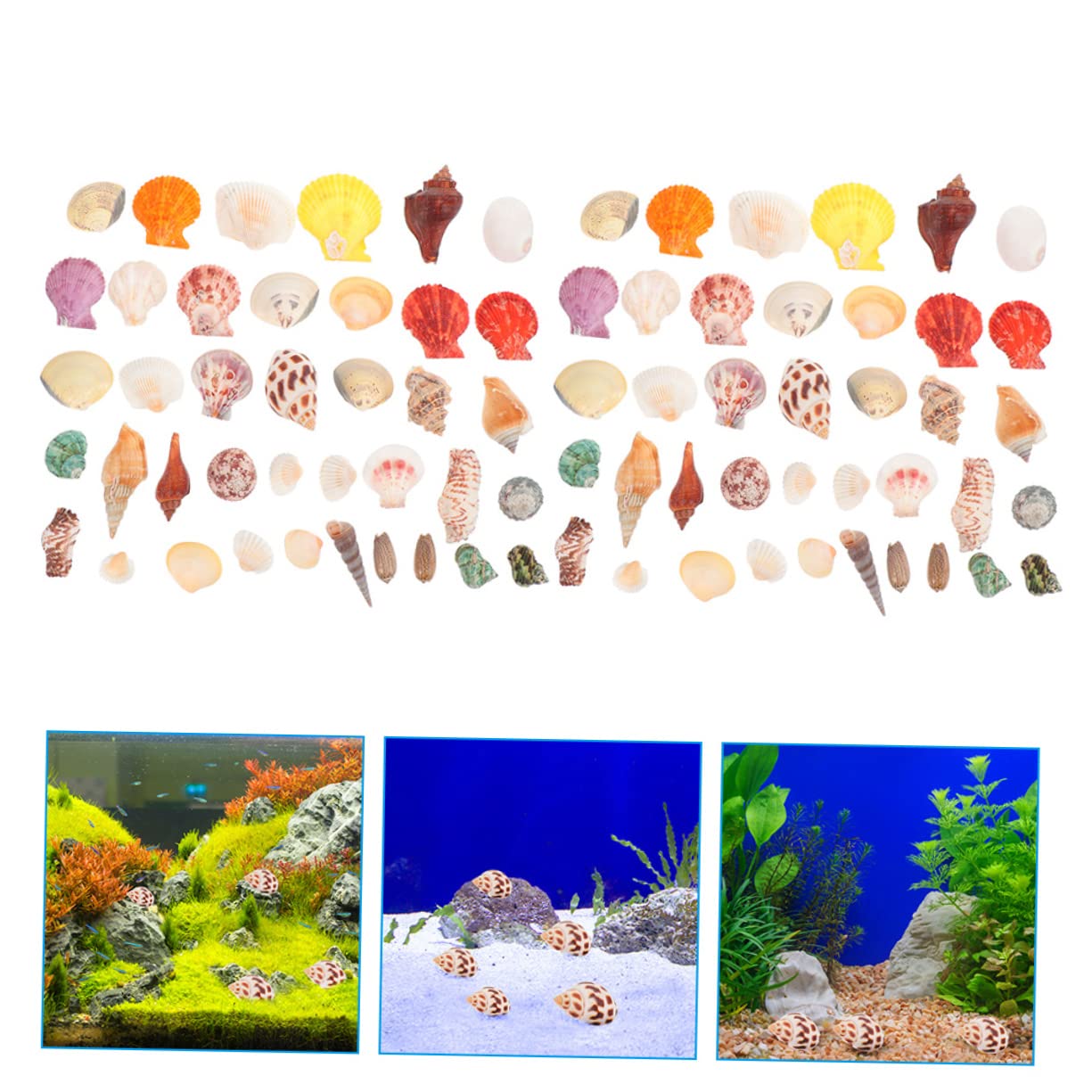 Zerodeko 2 Set Conchiglia Vuoto Substrato Spiaggia Decorazioni per Bomboniere Decorazioni Marine Decorazione di Conchiglie Dell'acquario Materiale di Riempimento del Guscio 160 Pezzi * 2