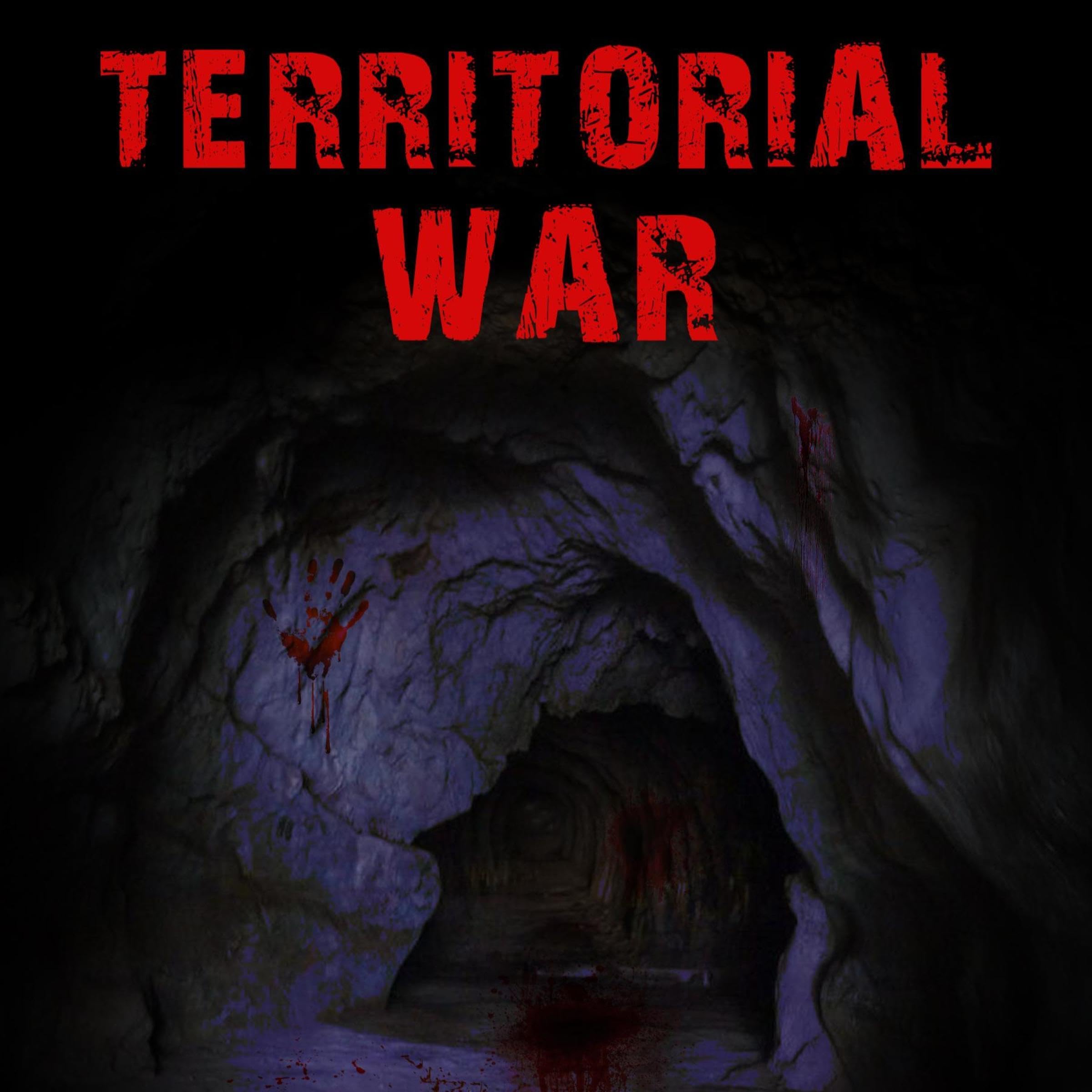 Cover art for Territorial War: A Battle on Two Fronts