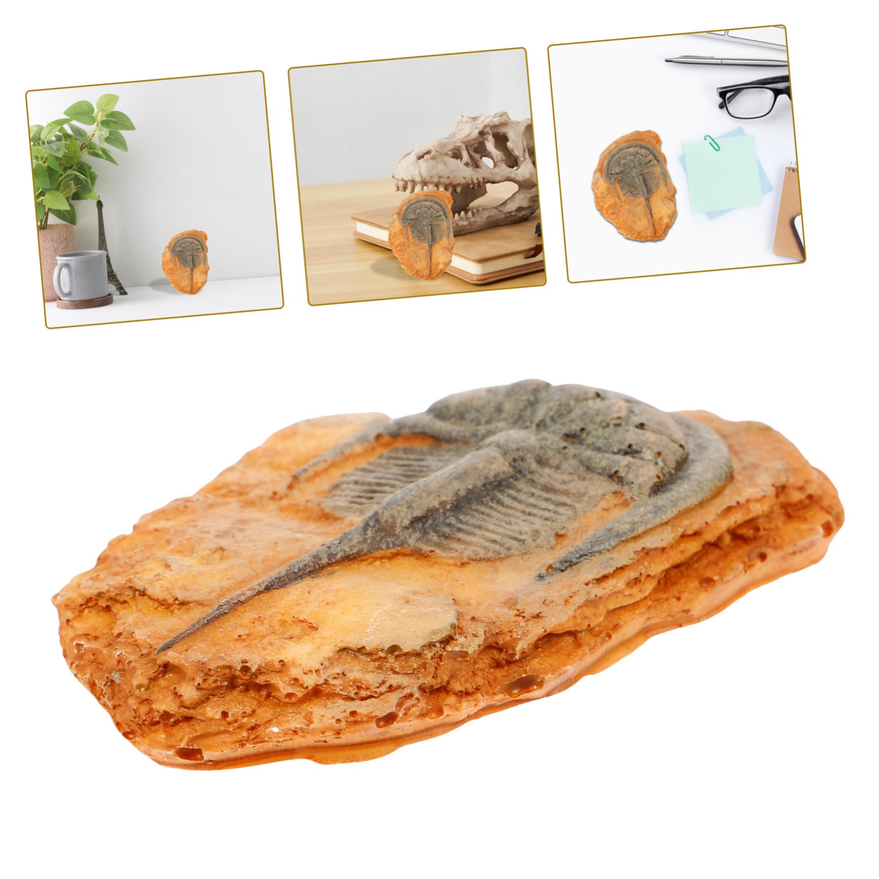 Healvian Fossiles d'insectes - Fossiles scientifiques - Fossiles d'insectes - Insectes paléontologiques - Science des insectes - Échantillon de reptiles - Lion à crinière - Décoration en résine