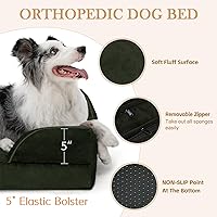 Vista 199 de Comfort Expression - Cama ortopédica para perros extragrandes, 53 x 42 pulgadas, cama impermeable y de apoyo de espuma con cojines removibles