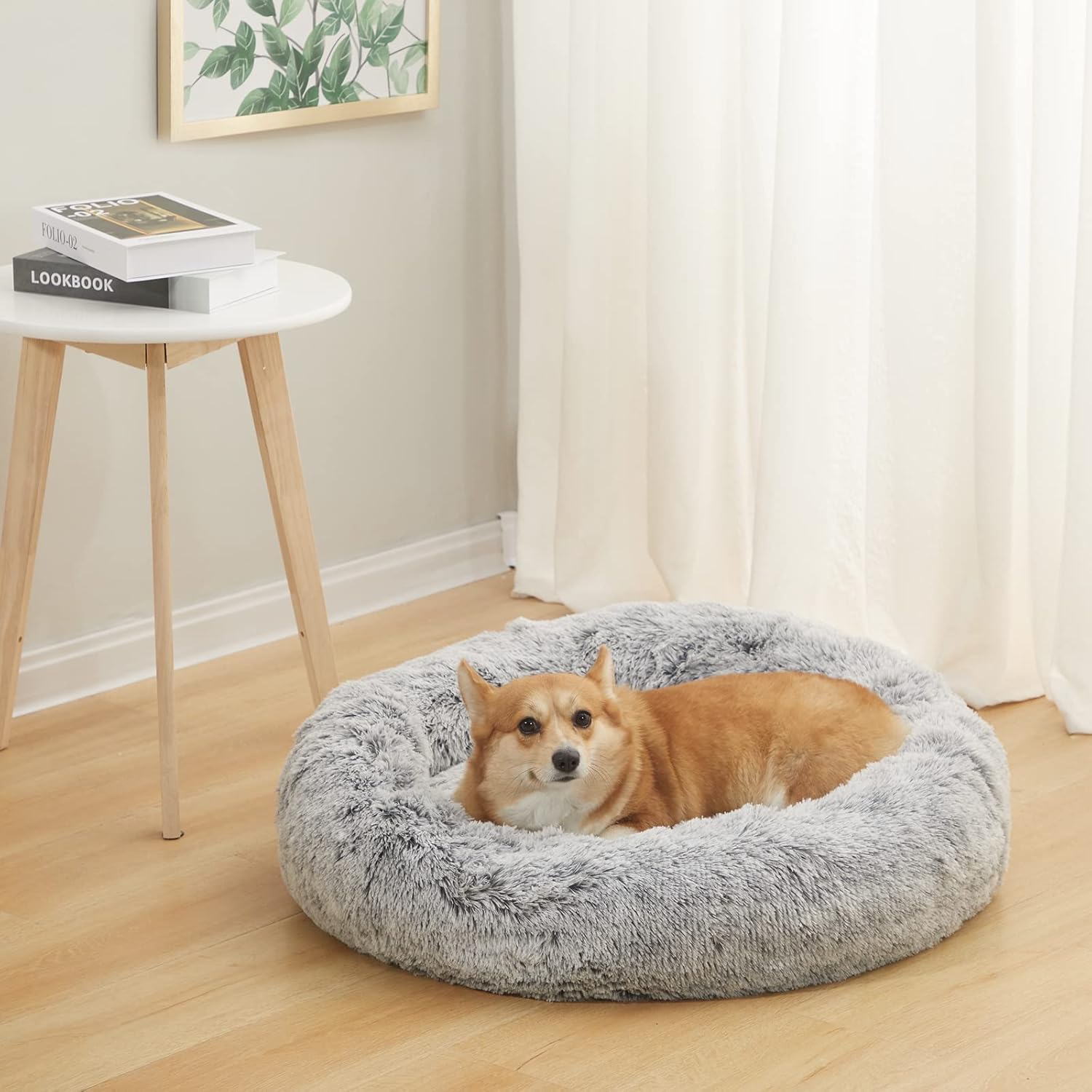 Ultimate Comfort: Bedfolks Calming Donut Dog Bed Review