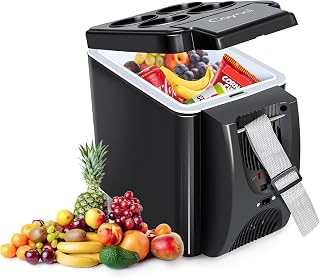 CAYNEL 12V 6 Quart Personal Thermoelectric, 6 Liter Capacity, Portable Electric Cooler Warmer with 12V DC, Small Fridge for Car, RV, and Camping Use