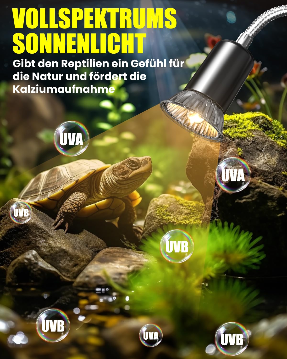 Schildkröte Wärmelampe Terrarium, Reptilien WäRmelampe 50W UVA/UVB Lampe Terrarium mit Timer und Clip E27 Lampenfassung für Schildkröte Spinne Eidechse Schlange Amphibien(2 Birnen enthalten)