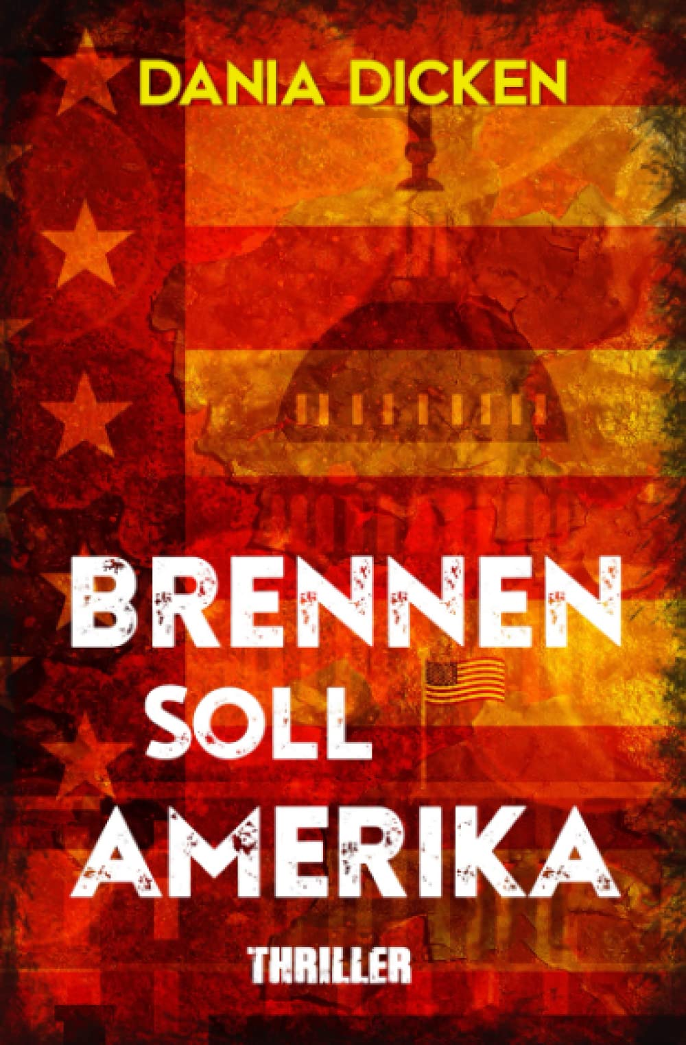 Brennen soll Amerika (Libby Whitman)
