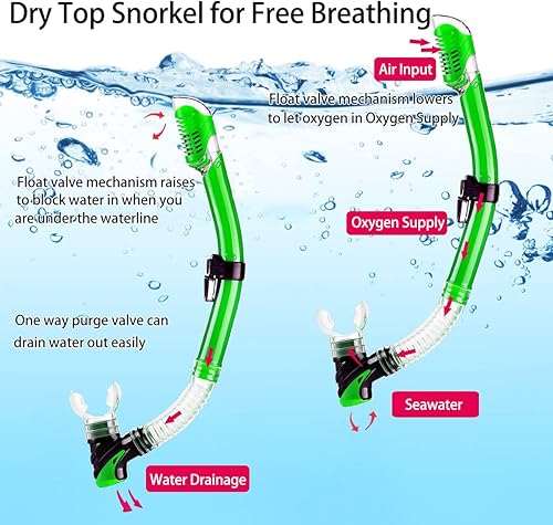 Miniatura 3 de Equipo de esnórquel para adultos con aletas, equipo de buceo para adultos, juego de esnórquel de viaje profesional con aletas, máscara de buceo