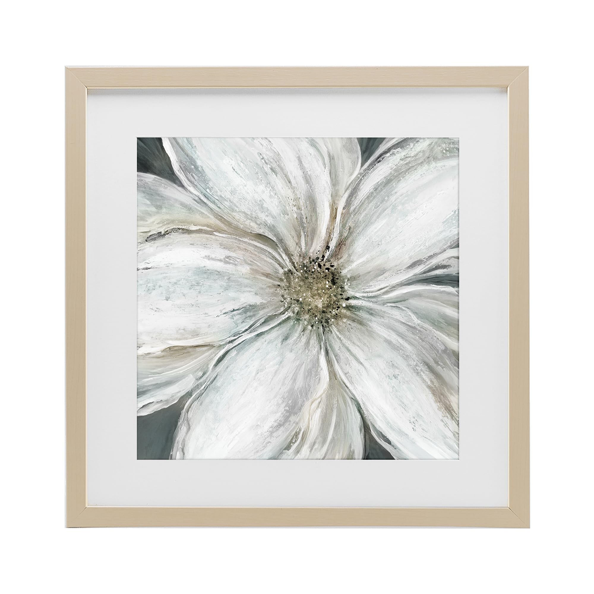 Stupell Industries 'Closeup Serene White Blossom', Framed Print Under Glass, Brown, 16 x 16 Inches, Easy to Hang and Sturdy, Made in USA, by Carol Robinson