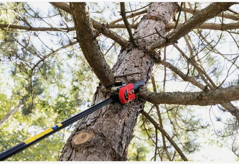 TrimmerPlus PS720 8-Inch Pole Saw with Bar and Chain
