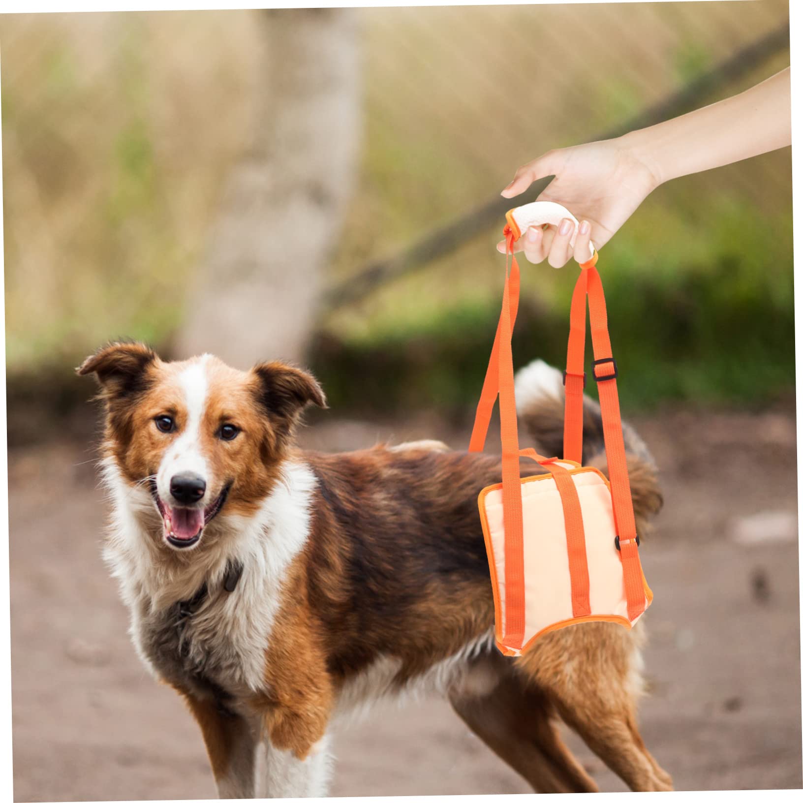 BESPORTBLE 4 Pièces Ceinture D'Assistance Aux Jambes pour Animaux De Compagnie Harnais De Protection pour Chien Harnais D'Extérieur pour Animaux De Compagnie Harnais De Soutien pour Chien
