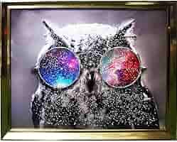 Amazon.co.jp: クリスタルアート オウルグラス アートパネル