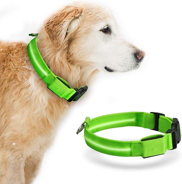 LED Dog Collar Baytion USB Rechargeable Light up Dog Collar with Rechargeable and Waterproof Flashing Light Glowing Small Medium Large Dogs