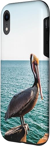 Vista 65 de iPhone 11 Pelican Case