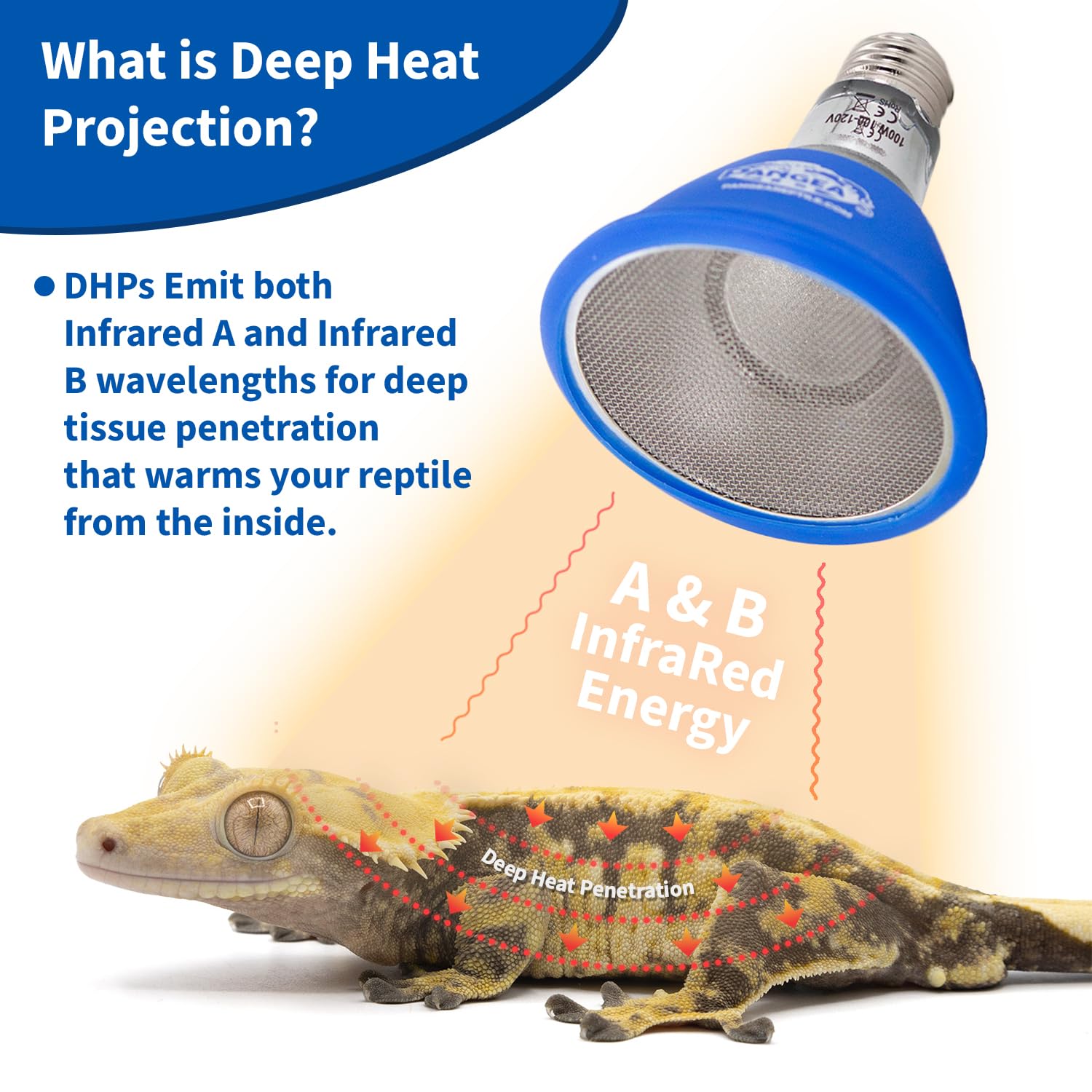 Pangea 75W Deep Heat Projector for Reptiles with Carbon Fiber Filament, Core Warming Infrared A and B Bulb for Basking Lizards, Designed for Ceramic Sockets (75 Watt) - image 4